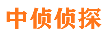 眉山市侦探调查公司